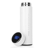 Smart Temperature Display Water Bottle